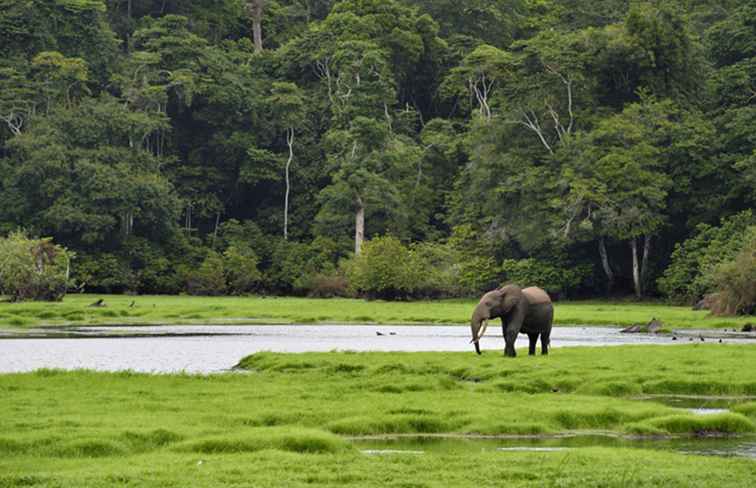 Guide de voyage au Gabon Informations et faits essentiels