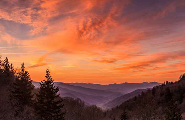 Great Smoky Mountains voor bezoekers met een budget / Tips & trucs