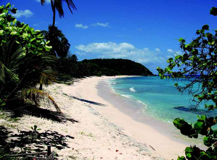 Guida di viaggio della Guadalupa / Guadeloupe