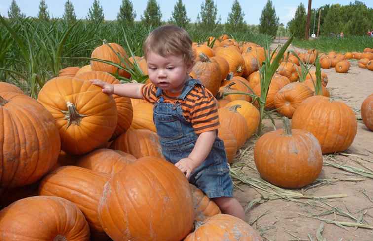 Halloween en Phoenix / Arizona