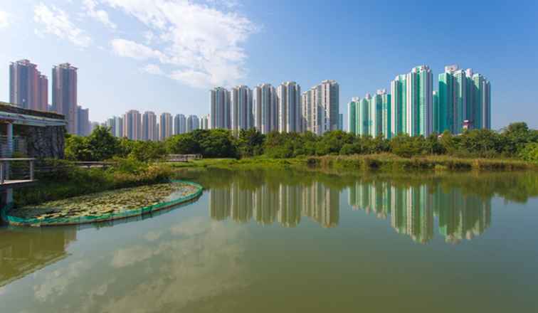 Hong Kong conservato in un parco umido / Hong Kong