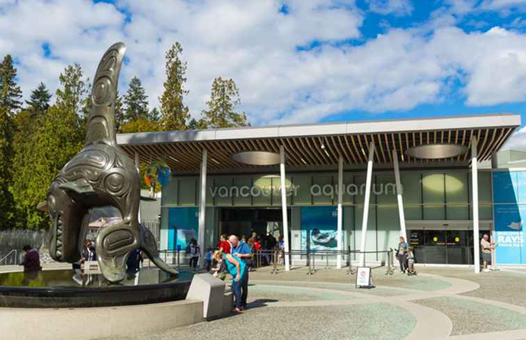 Hur man besöker Vancouver Aquarium / Vancouver