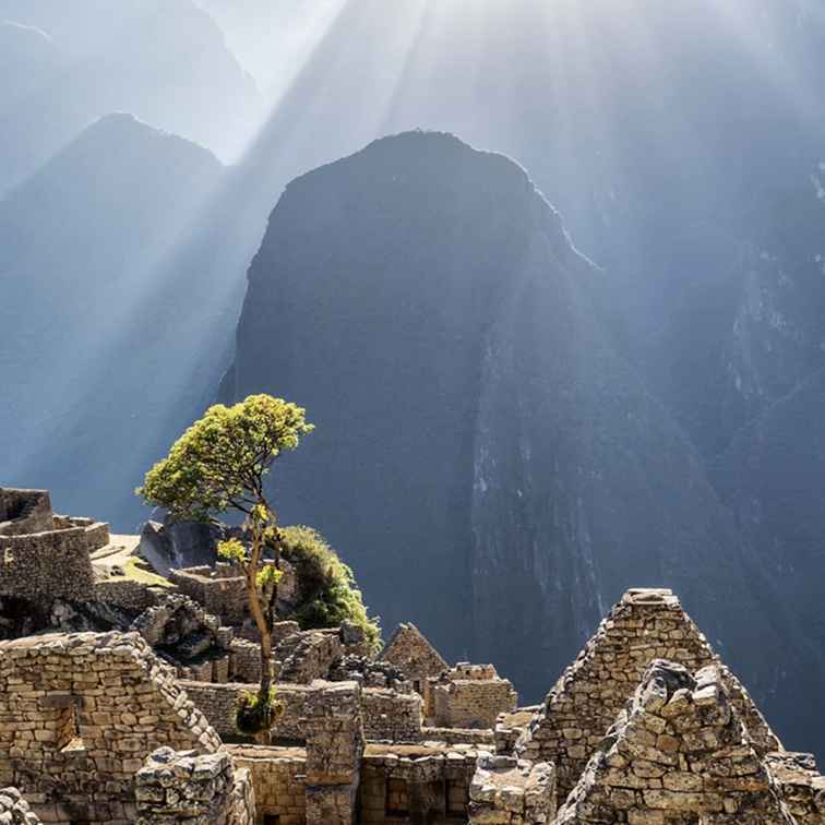 Inca Trail e Machu Picchu Closures / Perù