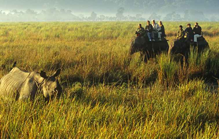 Guida di viaggio di Parco nazionale di Kaziranga / 