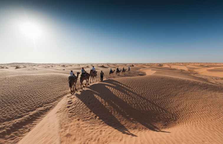 Ksar Ghilane är en Sahara Oasis i södra Tunisien / tunisien