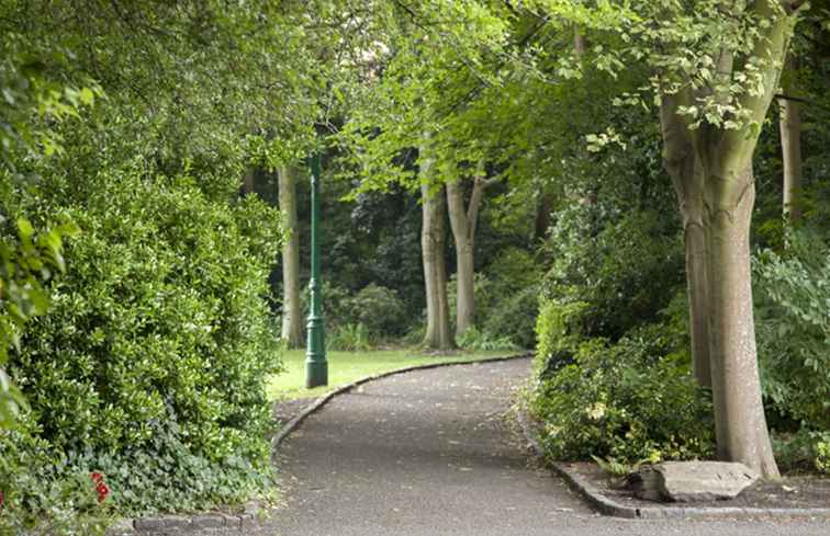 Merrion Square, Dublin De complete gids / Ierland