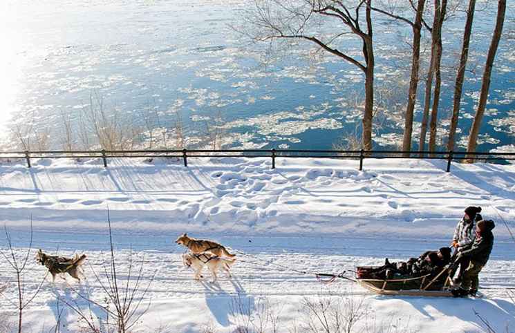 Dettagli della stagione 2018 di Sledding del cane di Montreal / Montreal