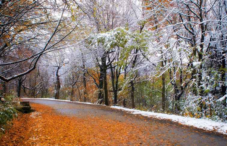 Montreal November Weer / Montreal