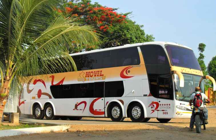 Movil Tours Peru Busbedrijf / Peru