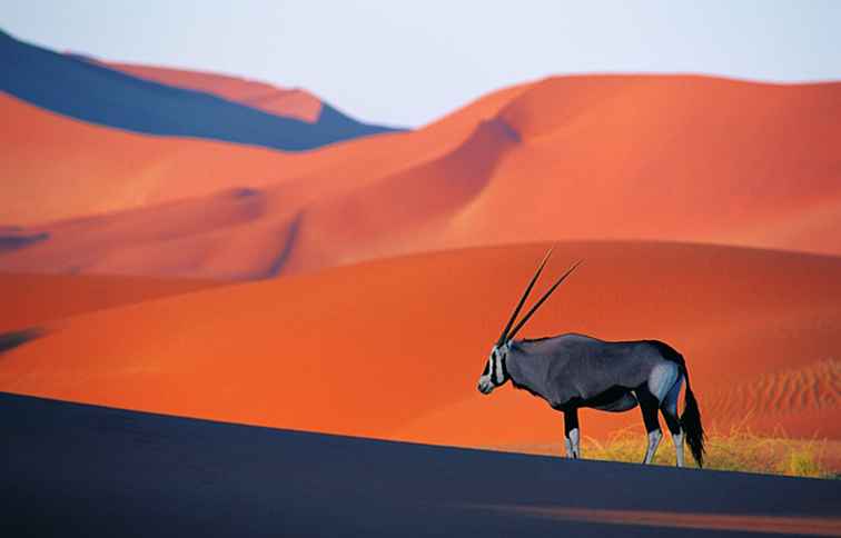 Guide de voyage en Namibie Faits et informations essentiels