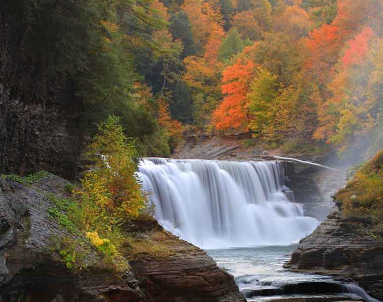 New York Fall Foliage Driving Tours / New York