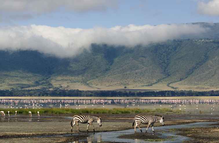 Ngorongoro Conservation Area, Tanzania De complete gids / Tanzania