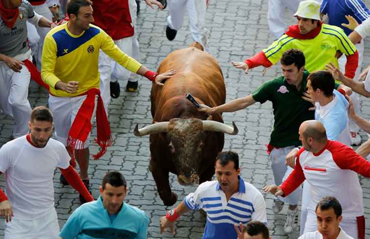 Tours guidés de la course des taureaux à Pampelune / Espagne