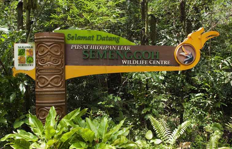 Centro di riabilitazione della fauna selvatica di Semenggoh / Malaysia