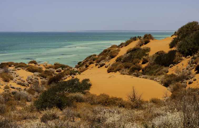 Shark Bay, site du patrimoine mondial de l'Australie occidentale
