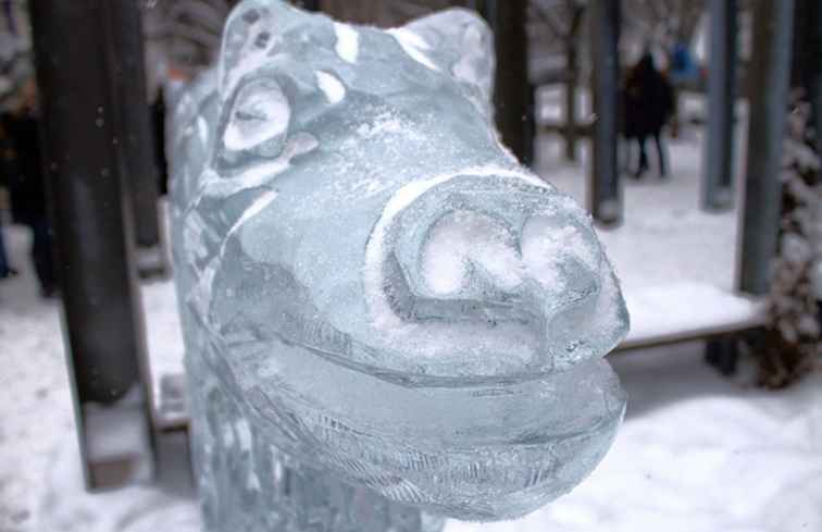 De bästa februarihändelserna i Toronto / Toronto