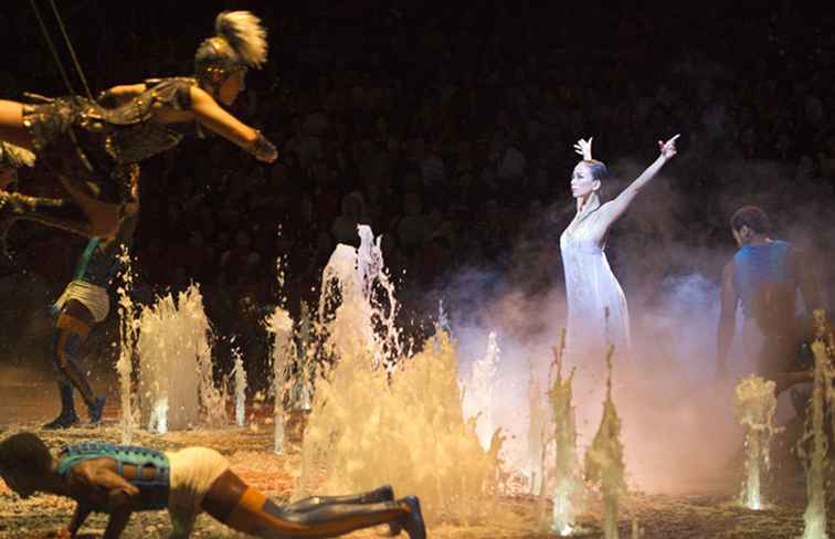 Les meilleurs spectacles de Macao