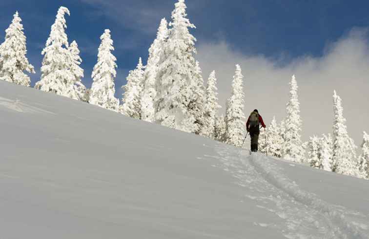 Los mejores lugares para ir Esquí de fondo en Colorado