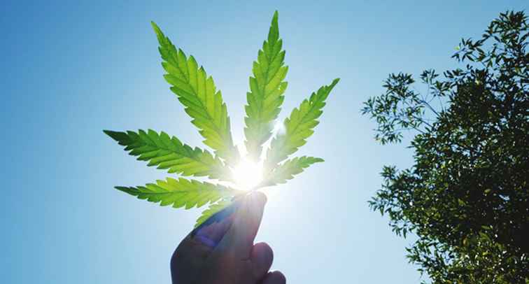 I trattamenti termali ispirati alla cannabis più cool in Colorado