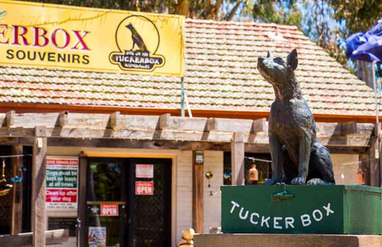 Le chien sur la Tuckerbox / Australie