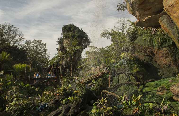 De top 10 attracties in Disney's Animal Kingdom / Florida