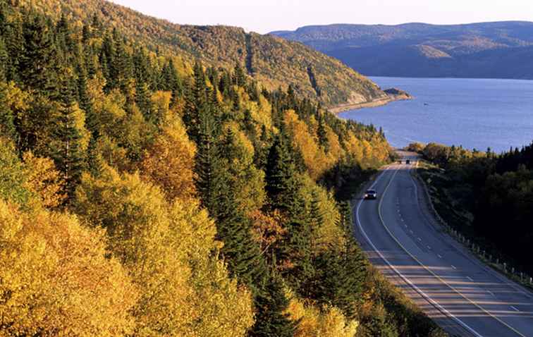 Tipps für das Fahren in Neufundland, Kanada / 