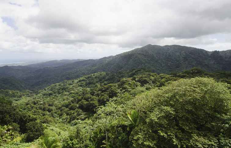 Top 10 des meilleurs écotours à Porto Rico / PuertoRico