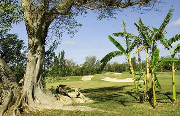 Meilleurs terrains de golf et centres de villégiature aux Bahamas