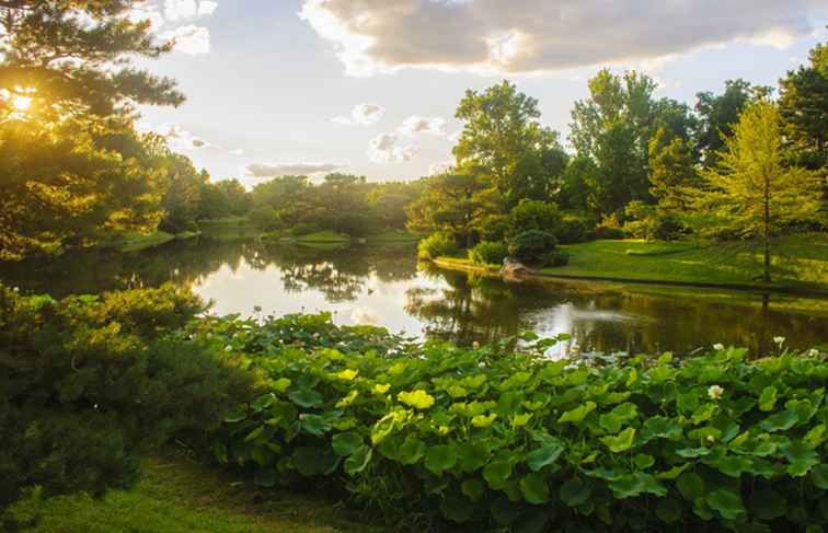Le migliori cose da vedere e fare al Missouri Botanical Garden / Missouri
