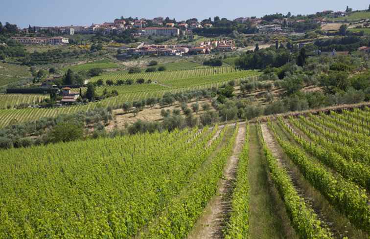 Toscana vingårdsturer