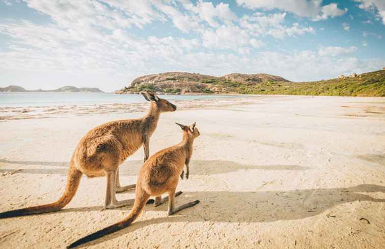 Wo man Nude Strände in Austrailia findet / Australien