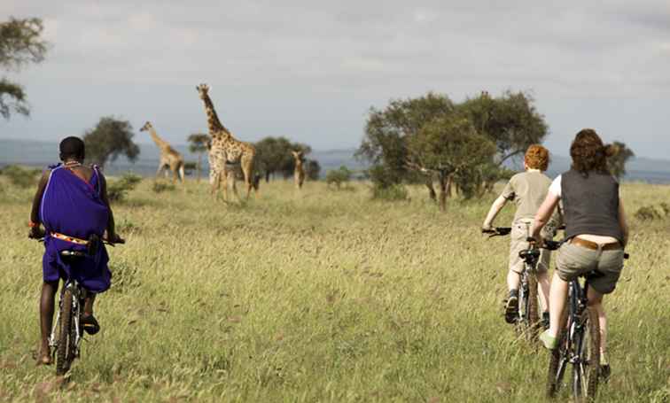 Votre guide sur les safaris à vélo, les circuits et les courses en Afrique