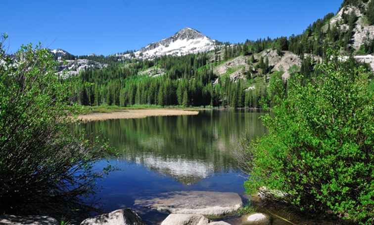 10 caminatas fáciles cerca de Salt Lake City / Utah