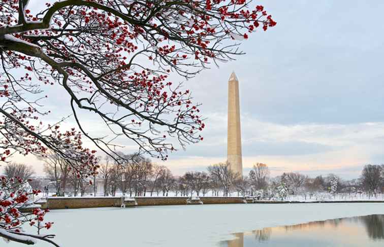 12 activités amusantes en famille en hiver dans la région de Washington, DC / Washington DC.