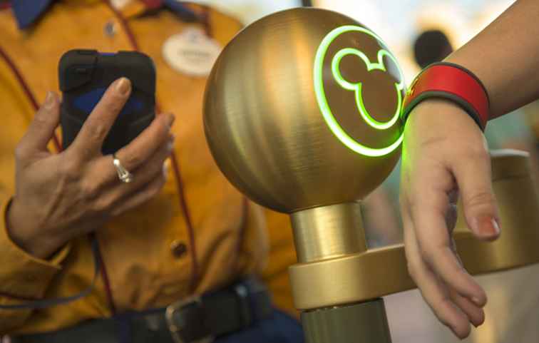 15 Bästa FastPass + och My Disney Experience Tips / florida