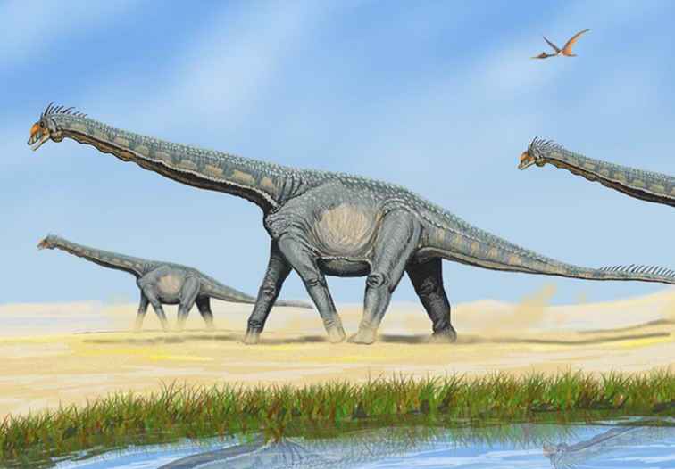 6 dinosaurios descubiertos en Nuevo México / Nuevo Mexico