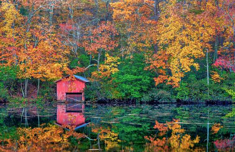 Guide étatique des couleurs d'automne / 