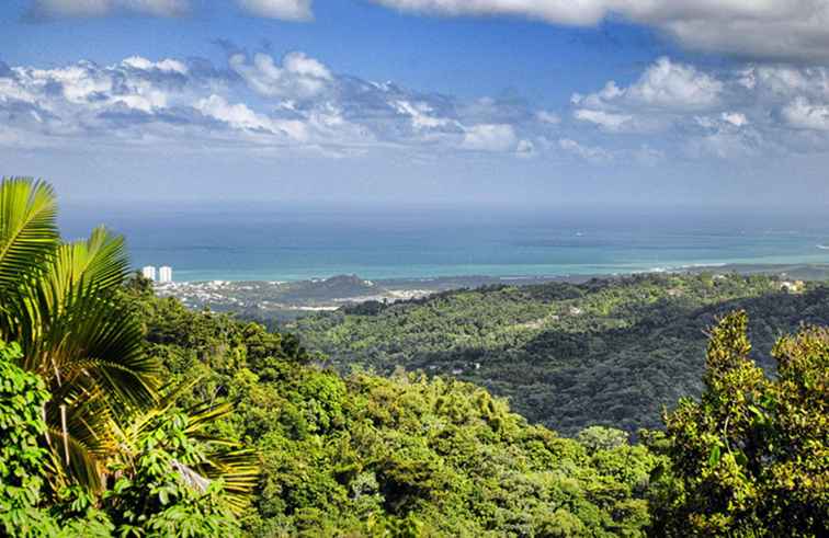 Betaalbare dagtrips vanuit San Juan in Puerto Rico