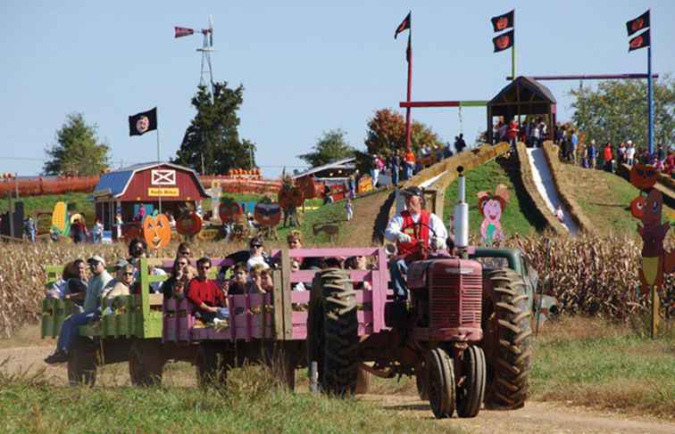 Los 10 mejores festivales de otoño en el norte de Virginia / Virginia