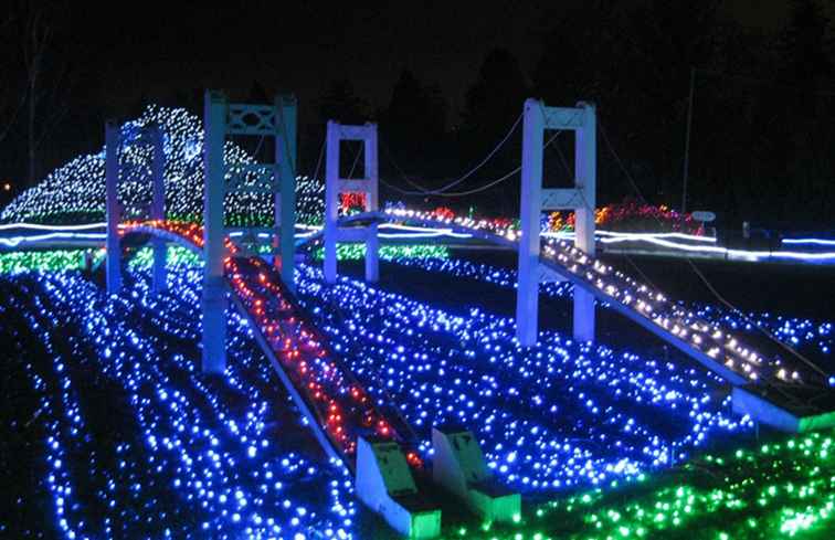 Kerstverlichting in Seattle, Tacoma, Bellevue & Beyond / Washington