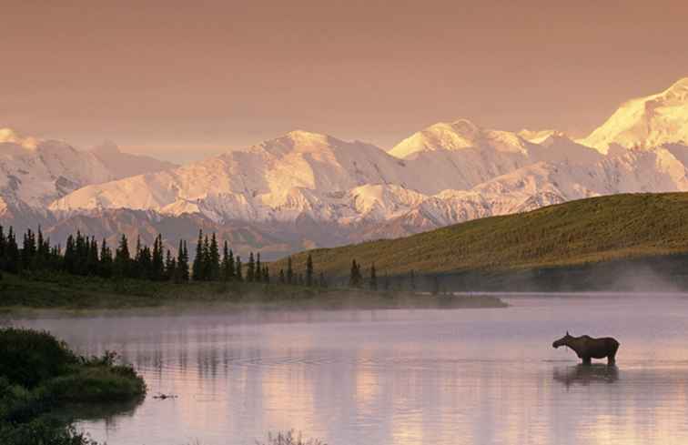 Denali Nationalpark Wetter und Durchschnittstemperaturen / Alaska