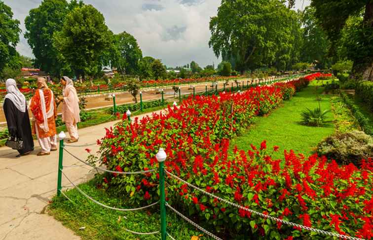 È sicuro viaggiare in Kashmir? Cosa hai bisogno di sapere