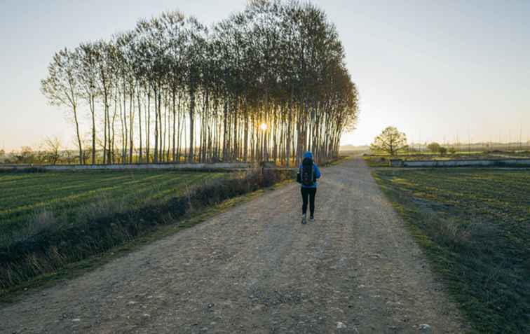 Conozca los mayores peligros y molestias del Camino de Santiago / España