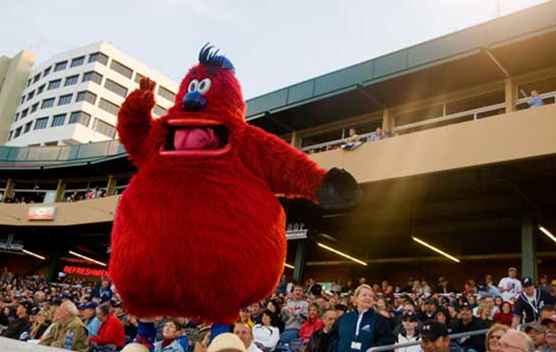 Minor League Baseball Team anslutna till Arizona Diamondbacks / Arizona