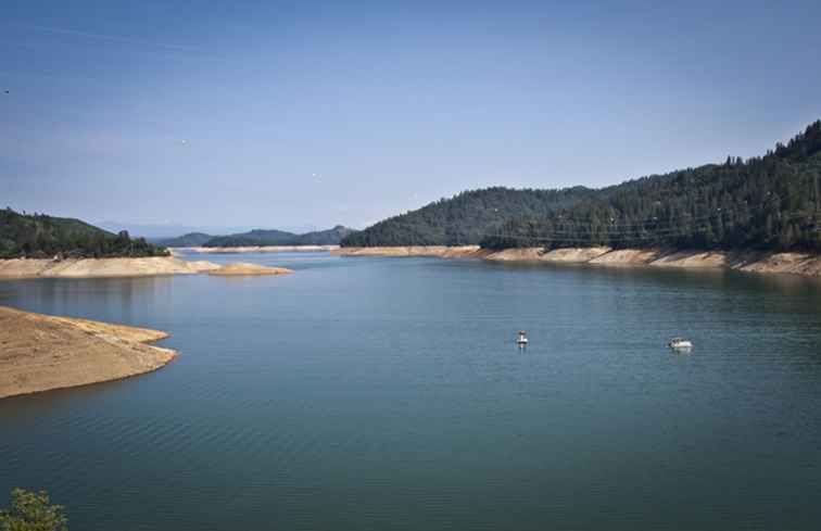 Camping Shasta al lago o alla montagna / California