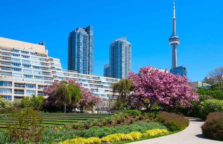 Les 10 meilleurs endroits à visiter ce printemps à Toronto / Toronto