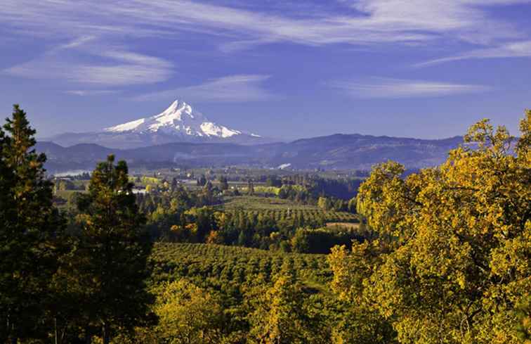 De beste plekken voor het bekijken van Fall Foliage in de Pacific Northwest / Washington