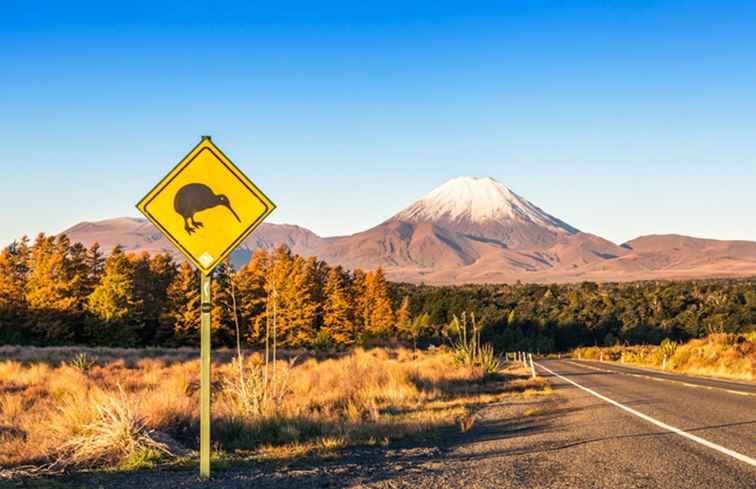 De 10 bästa sakerna att göra i Nya Zeeland / Nya Zeeland