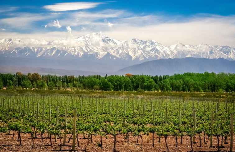 Las 12 mejores cosas que hacer en Mendoza, Argentina / Argentina