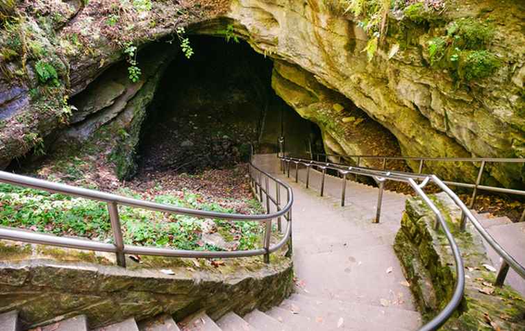 Top 8 des grottes du Kentucky à visiter / Kentucky